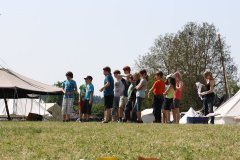 pfila-2012-11