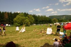 pfila-2014-095