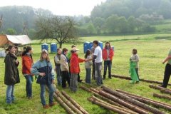 pfila-2010-05