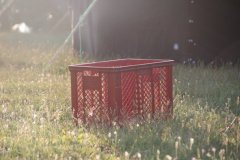 sola-2016-028