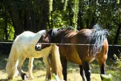 SOLA21_5975