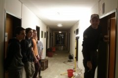 streichen-2016-15