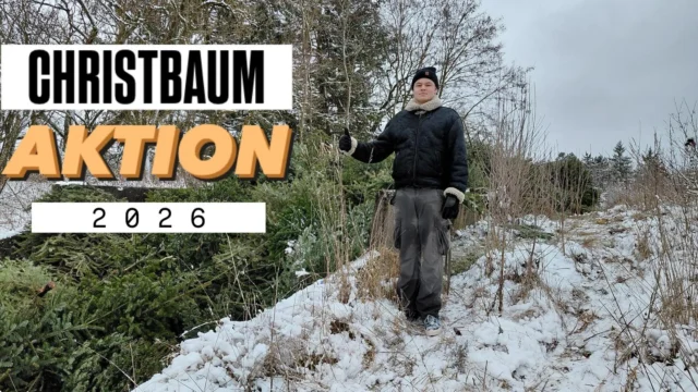 Letzte Woche Samstag fand unsere diesjährige Christbaumaktion statt 😮 In ganz Sigmaringen und Laiz haben wir dabei die Tannenbäume eingesammelt, vielleicht war ja auch deiner dabei 😉 
Wir wollen die Gelegenheit nutzen und uns bei allen Helfern und Spendern zu bedanken 😇 Ohne euch wäre diese Aktion nicht möglich und wir könnten nicht so viele coole Events im Jahr machen 👀 
Also viiiielen Dank an euch 😊
#christbaumaktion #spende #danke #pfadfinder #dpsg